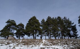 Во Владимирской области последняя рабочая неделя осени закончится «нулевой» температурой