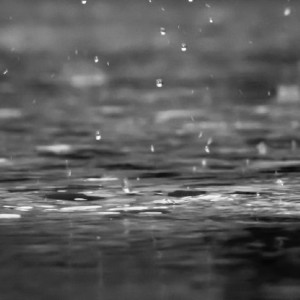 Во Владимирскую область придут похолодание и дожди