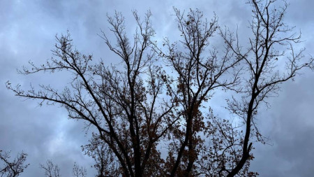 На короткой рабочей неделе во Владимирскую область нагрянут грозы