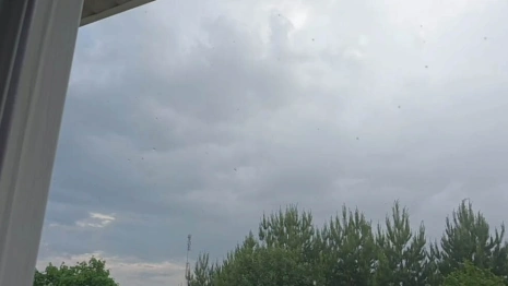 Во Владимирской области прошел дождь и гром