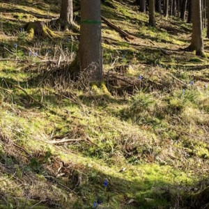 День Ефремии: что можно и нельзя делать 29 сентября