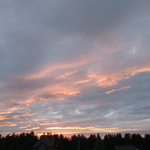 Прогноз погоды во Владимире и области на 28 октября