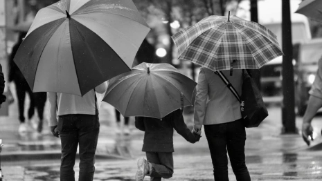 Во Владимирской области 70% семей оказалась недоступна аренда двухкомнатной квартиры