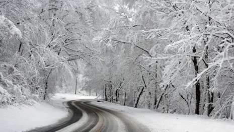 «Автодор» предупредил о мокром снеге на проходящей через Владимирскую область трассу М-12