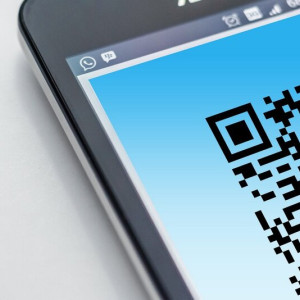 Во Владимире родителям без QR-кода запретили навещать детей в лагерях