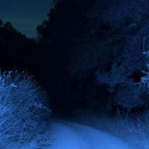 Пропавшего в Муроме 73-летнего мужчину нашли мертвым