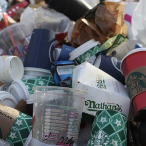 Во Владимире жители добились от чиновников вывоза мусора