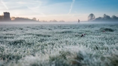 Народные приметы: что можно и чего нельзя делать 22 января в Филиппов день