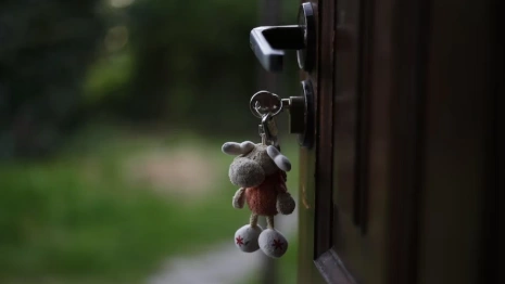 Глава СКР указал на проблемы с жильем для детей-сирот во Владимирской области 