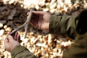 СК возбудил уголовное дело из-за убийства человека на охоте под Собинкой