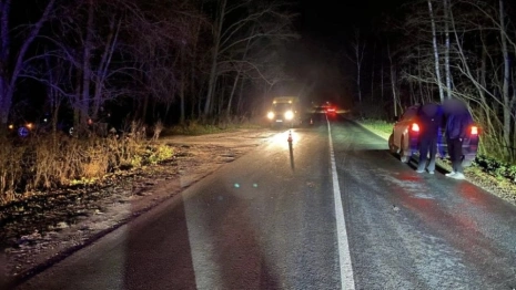 Прокуратура начала проверку из-за ДТП с 8-летним ребенком во Владимире