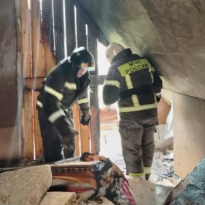 Стала известна личность пострадавшей при пожаре на даче в Коврове