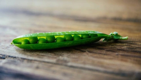 Федор-поминальник: что можно и нельзя делать 8 февраля