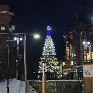Владимир начали украшать к Новому году