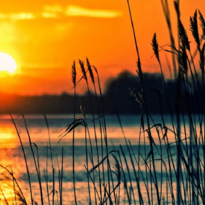 Во Владимирской области осудили устроившего резню на озере камешковца