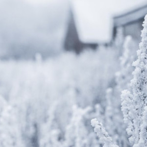 Прогноз погоды во Владимирской области на 20 декабря