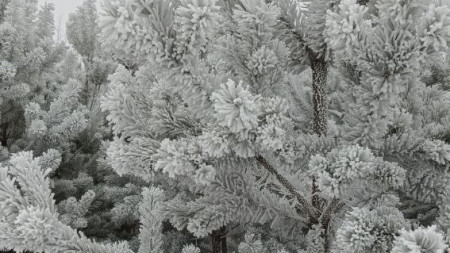 Прогноз погоды во Владимирской области на 20 февраля 2026 года