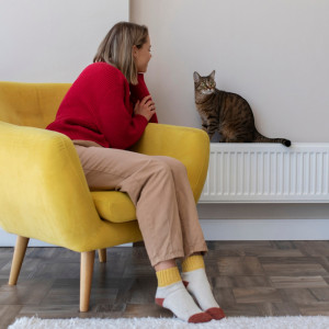 Владимирская область готовится к завершению отопительного периода