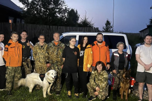 Волонтеры целый день искали потерявшуюся в лесу под Вязниками 85-летнюю бабушку