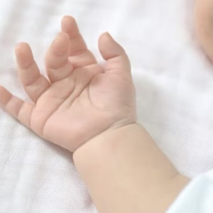 Во Владимирской области за ноябрь 13 семей пополнились двойнями