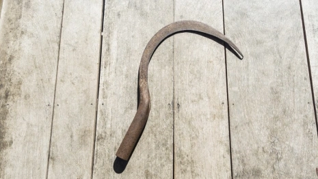 Жителя Коврова осудили за истязание приятеля серпом