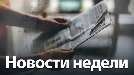 Убийство женщины в Коврове и ДТП с 8 жертвами. Главные новости недели во Владимирской области
