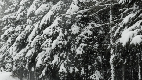 Народные приметы на 17 февраля 2024: что можно и нельзя делать в день Николая Исповедника