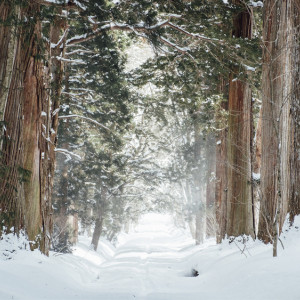 Прогноз погоды во Владимирской области на 30 января