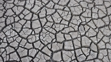 Владимирская область вошла в число засушливых регионов страны