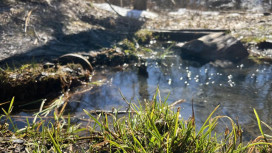 Во Владимирской области 10 марта наступит метеорологическая весна