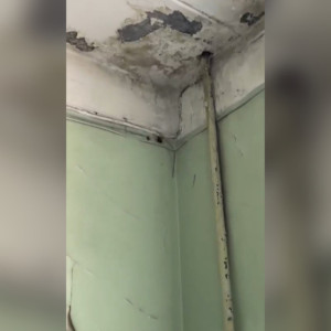 В больнице №2 во Владимире подтвердили наличие грибка на потолке