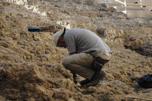 Археологи нашли под Суздалем «невидимые» некрополи
