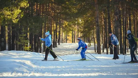 Во владимирском парке «Дружба» пройдет лыжная ретрогонка