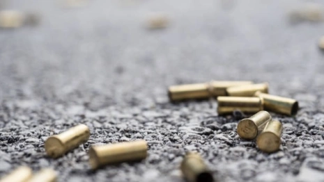 Жителя Камешково осудили за хранение пороха и патронов