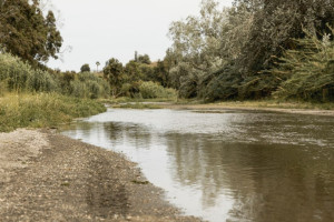 В Камешковском районе водолазы попросили помощи в поисках 34-летнего мужчины