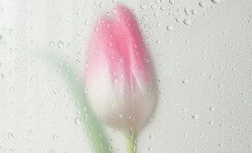 Прогноз погоды во Владимире и области на 6 апреля 2026 года