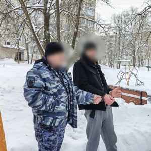 Во Владимирской области шестеро мигрантов украли медный кабель на 3,5 млн рублей