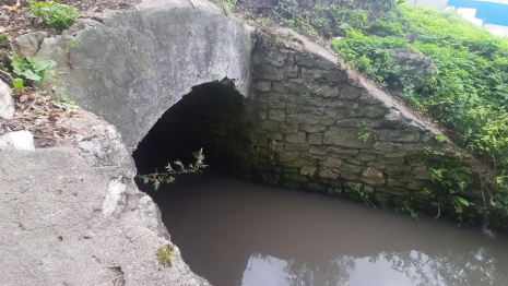 Владимирский водоканал проверит реку Лыбедь после жалоб жителей на вонь