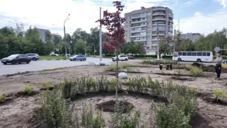 Во Владимире озеленили перекресток проспекта Строителей с улицей Балакирева