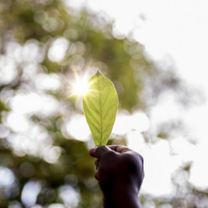 Владимирская область стала «хорошистом» в экорейтинге
