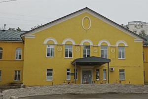 Во владимирском роддоме №2 выявили патологии сердца у 80 детей