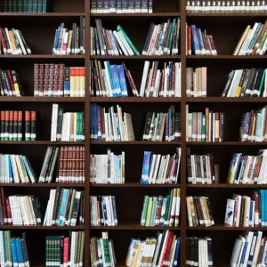 Во Владимирской области открыли сбор книг для сельской библиотеки