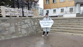 Активисты с плакатами «А Наумов выйдет?» собрались у мэрии Владимира