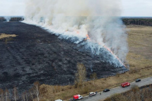 Крупный пожар во Владимирской области показали с высоты птичьего полета