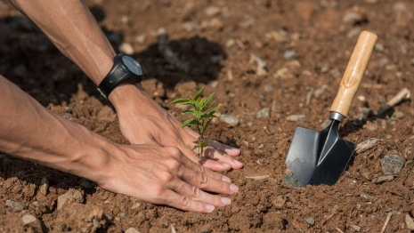 Семен Ранопашец: что можно и нельзя делать 10 мая