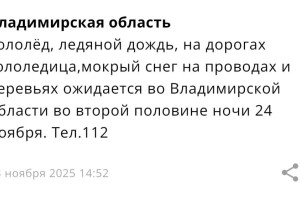 Во Владимирской области пойдет ледяной дождь ночью 24 ноября