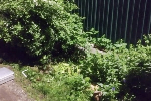 Жителя Александрова арестовали за убийство родственника