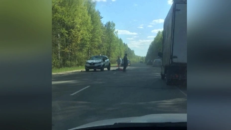 Во Владимирской области сбили девочку на лошади 