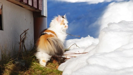 Прогноз погоды во Владимирской области на 19 марта