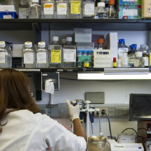 Во Владимирской области выявили 361 новый случай COVID-19